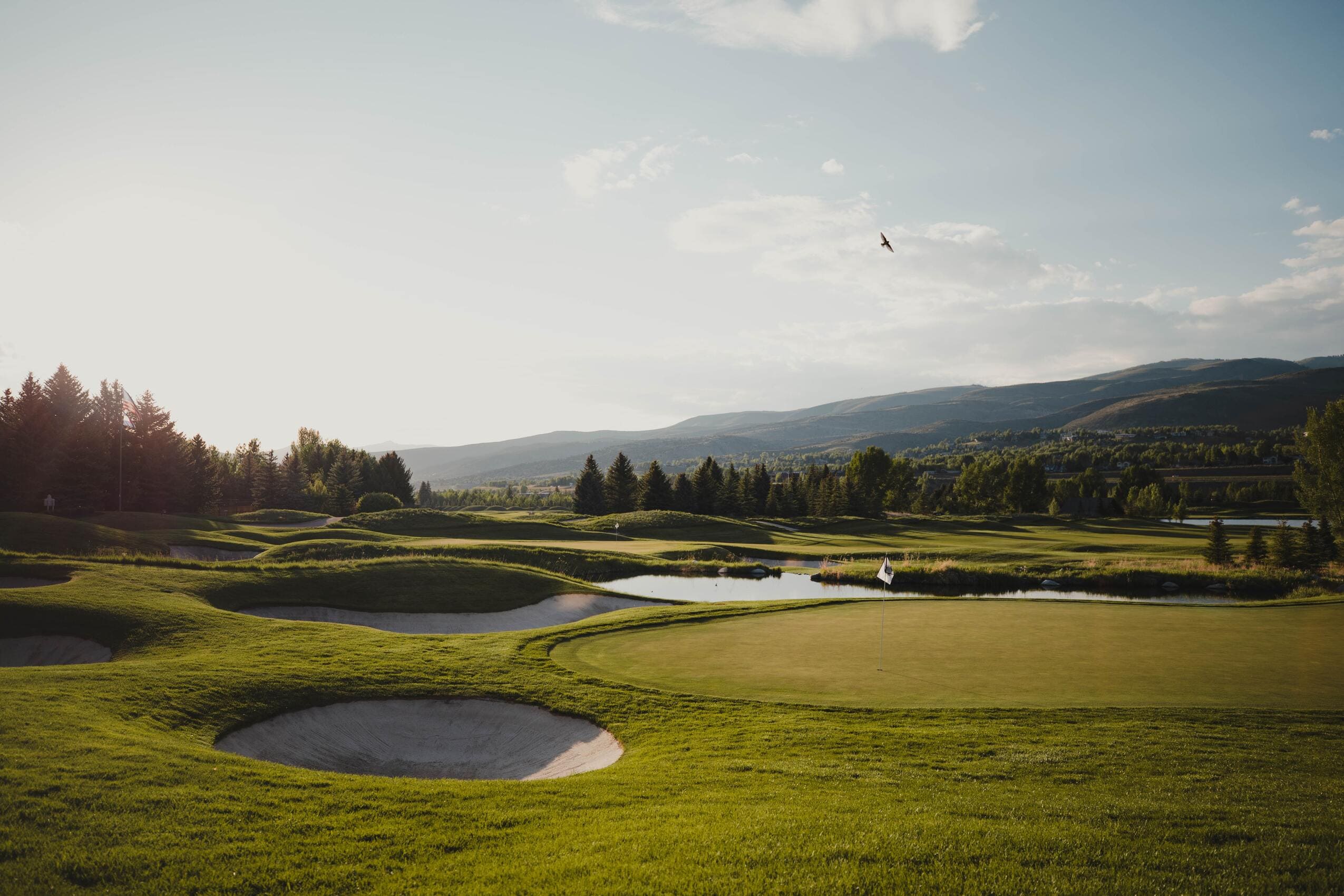 Terrain de golf